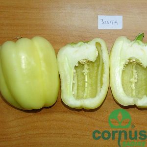 Paprika-Bobita-F1-03