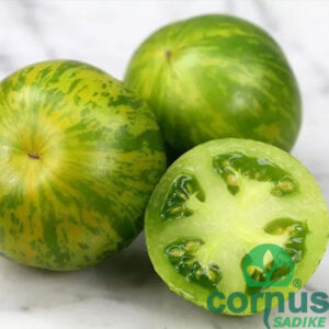 Green Zebra [P10] - slika 2